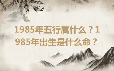 1985 年五行属什么|1985年五行属什么？1985年出生是什么命？